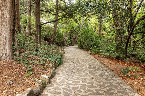 Stone Walkway Repair in Clearwater
