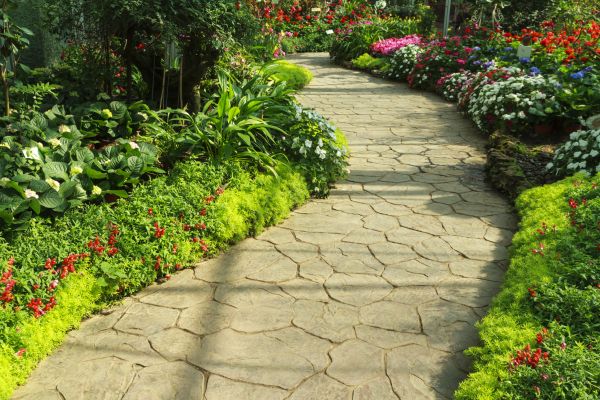 Stone Pathway Repair in Clearwater