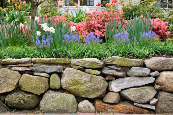 Stone Wall Hardscaping in Clearwater