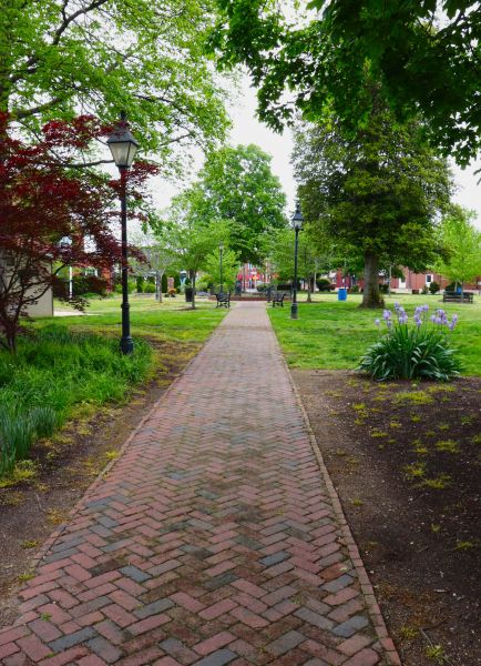 Brick Pathway Repair in Clearwater