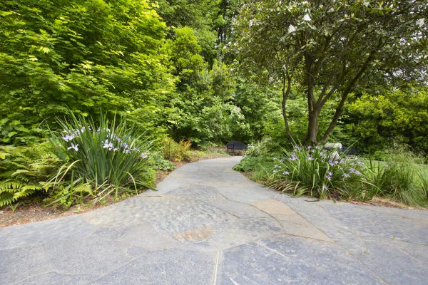Stone Hardscape Service in Clearwater
