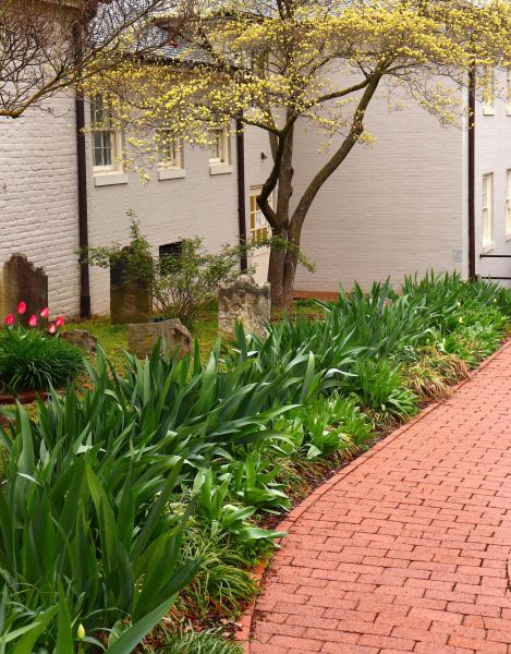 Brick Flatwork Repair in Clearwater